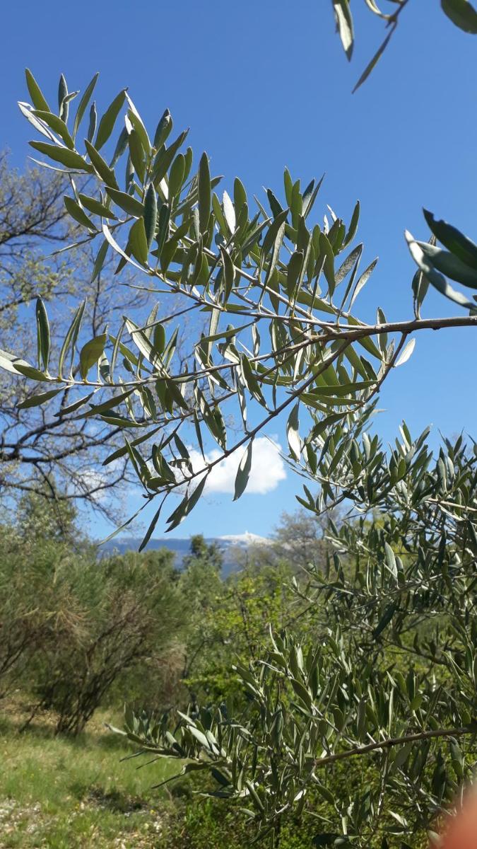 La Blouscaiou Gite 3 étoiles en pleine nature - Housity