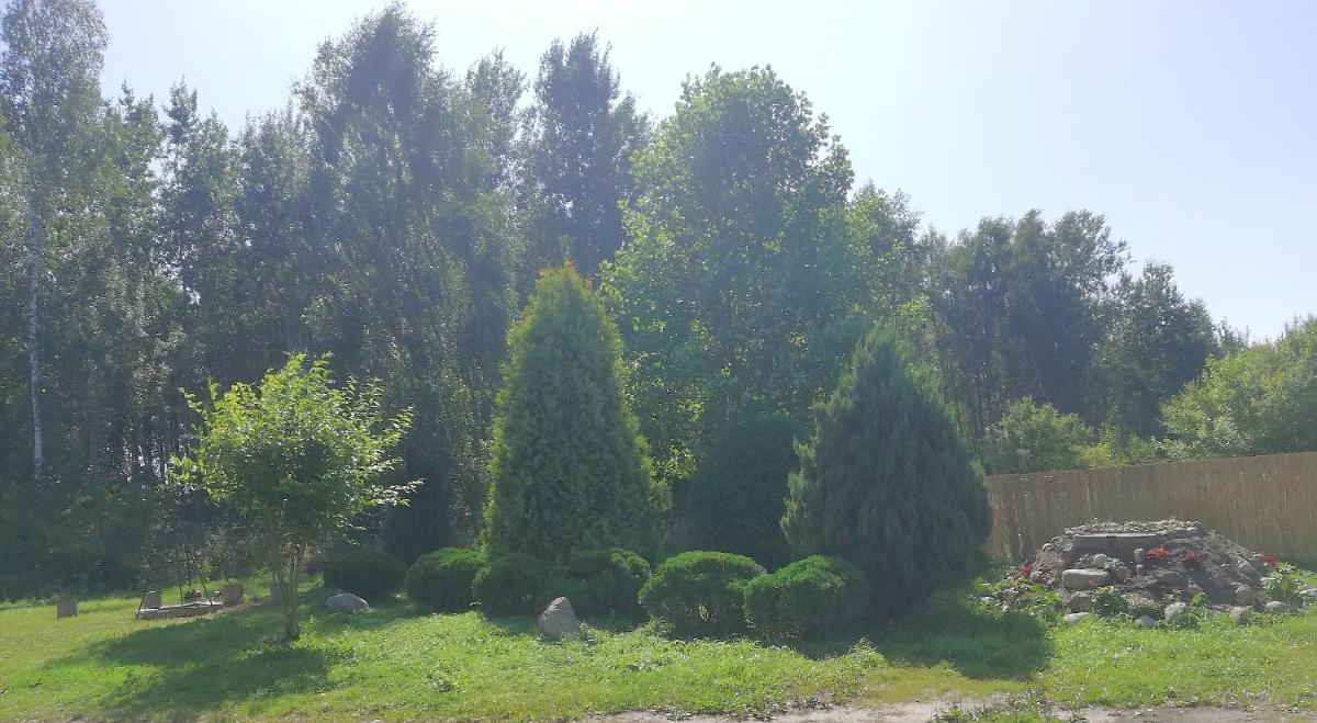 Leśny Apartament - Housity