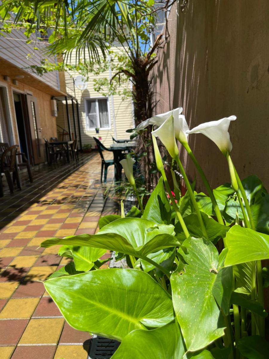 Polina Hotel - Housity