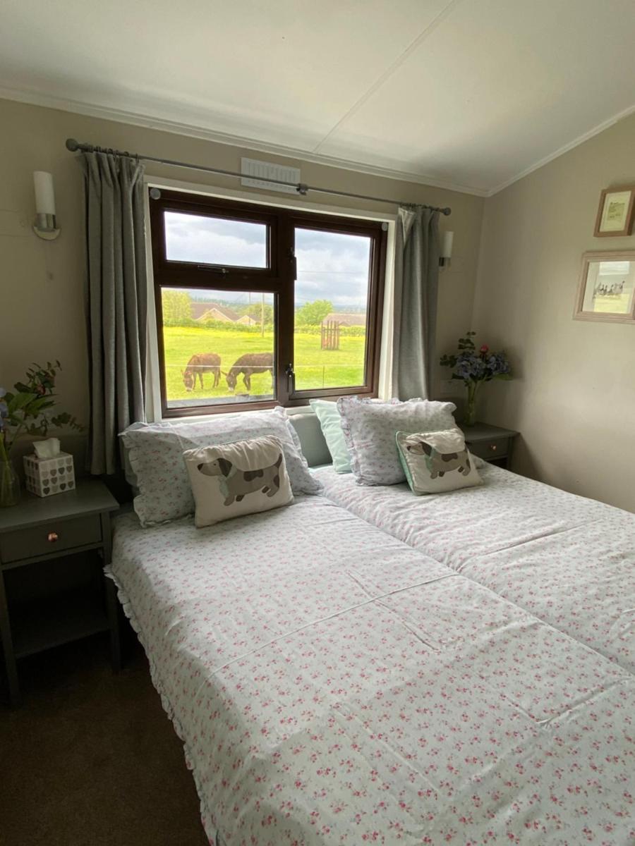 Rew Farm Country & Equestrian Accommodation - Sunrise Lodge - Housity