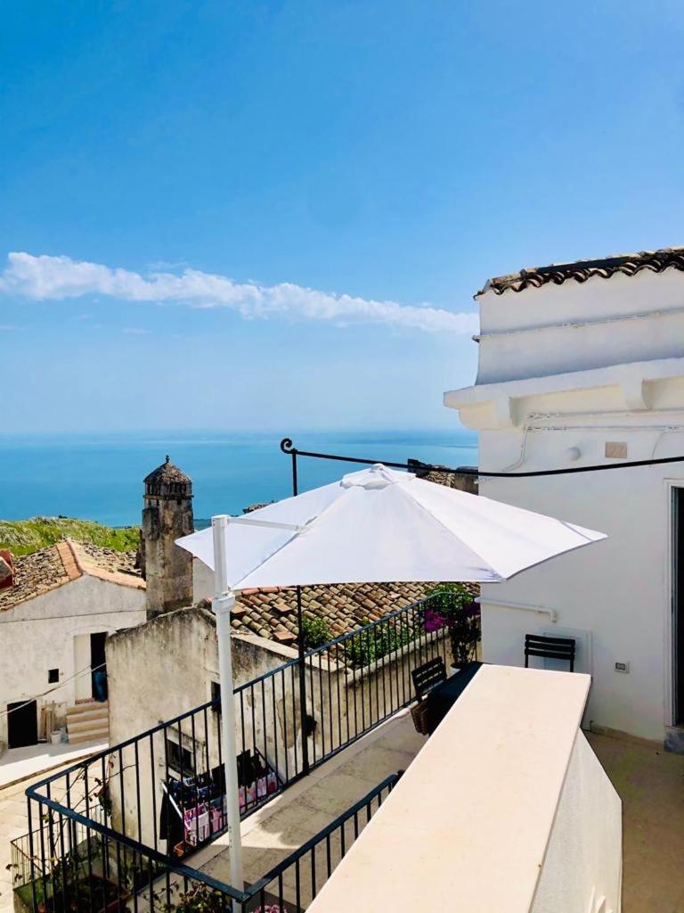 Fico d’India apartments - Housity