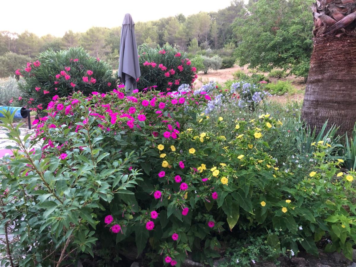 Sejours Varois Les Hesperides - Housity