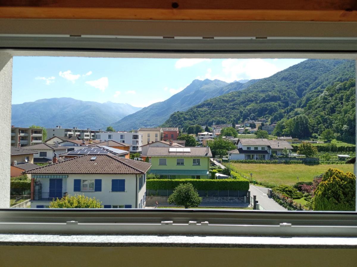 I viaggi del Lea - Housity