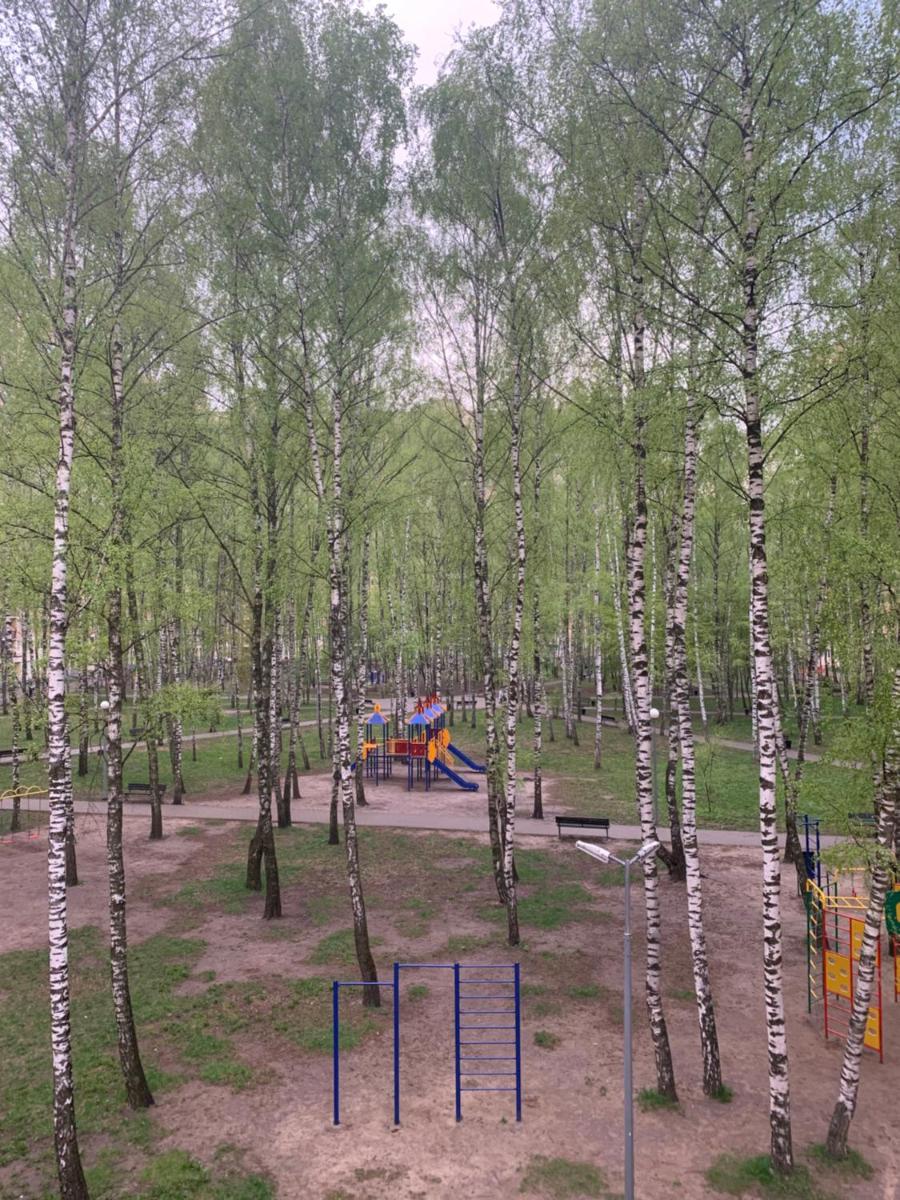 Kvartira studiia ramenskoe - Housity