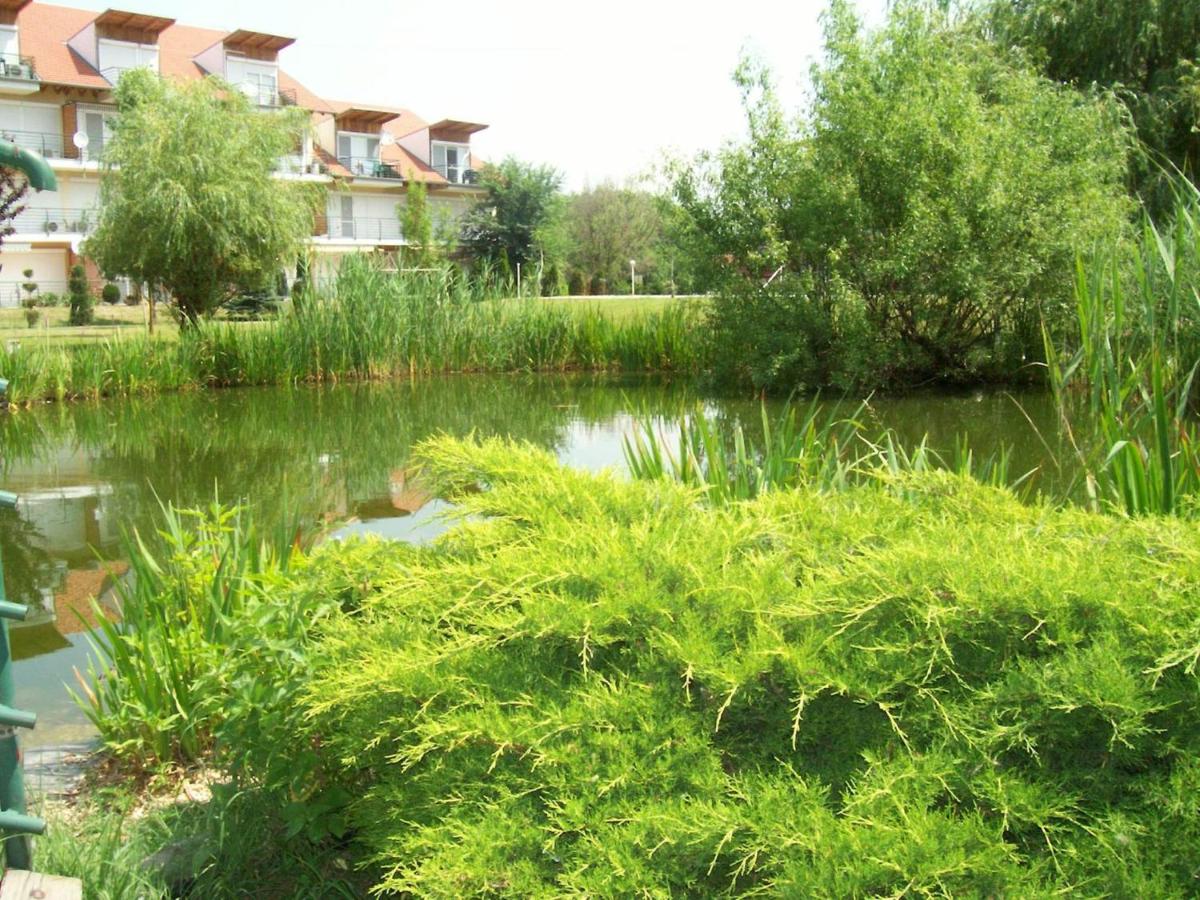 Cserke Napfény Apartman - Housity