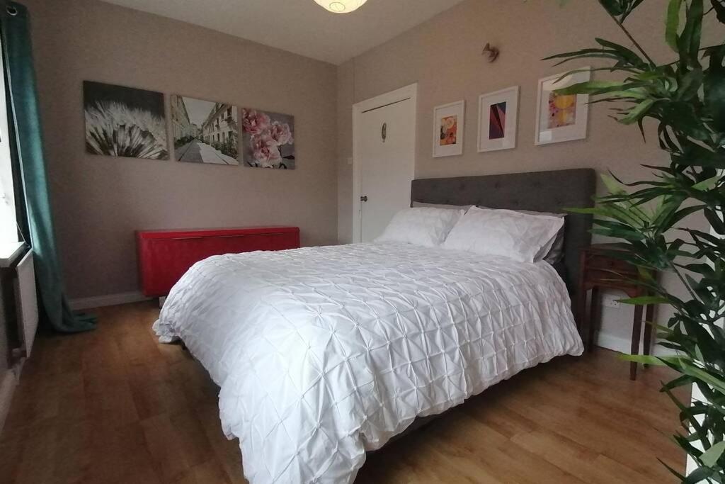 Argyle House, 10 minute walk from city centre - Housity