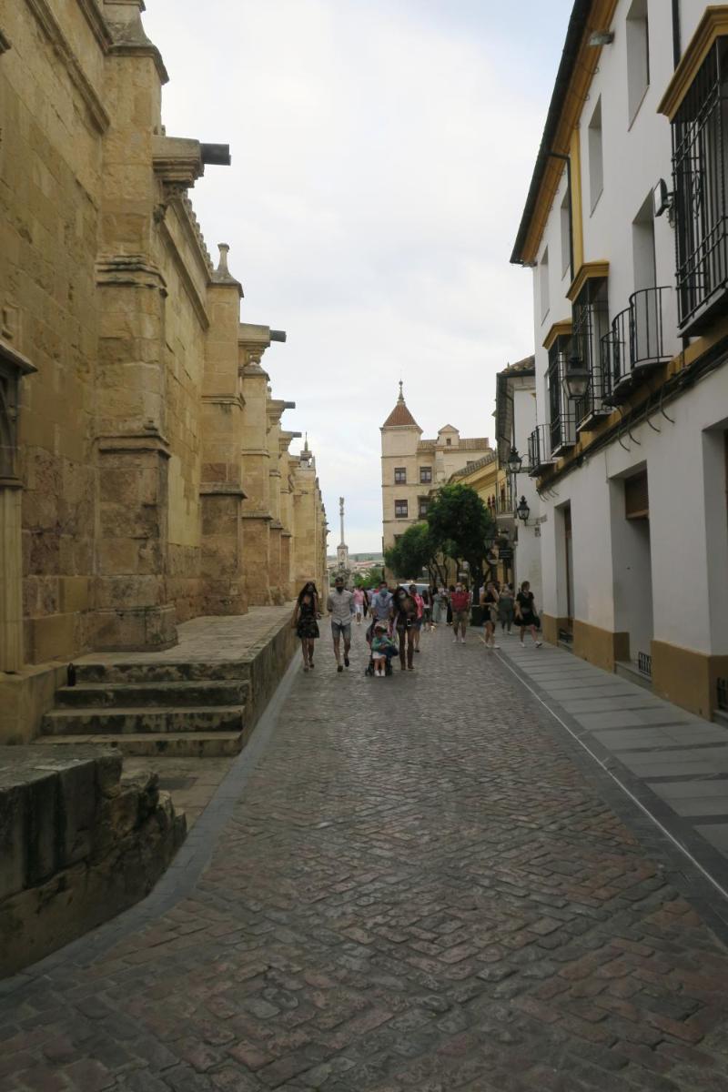 Suitetrails - Calle de la Convalecencia