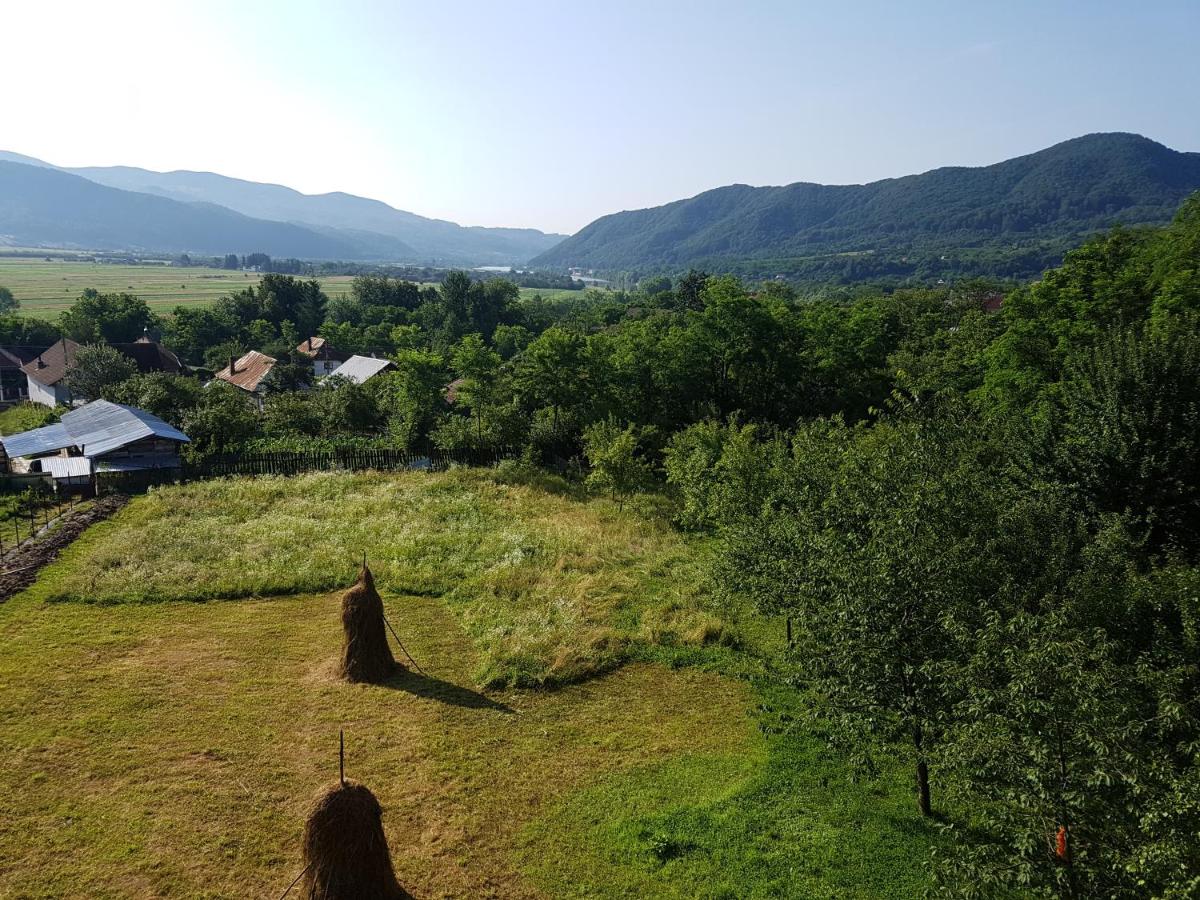 Pensiunea Adeluta Apartament - Housity
