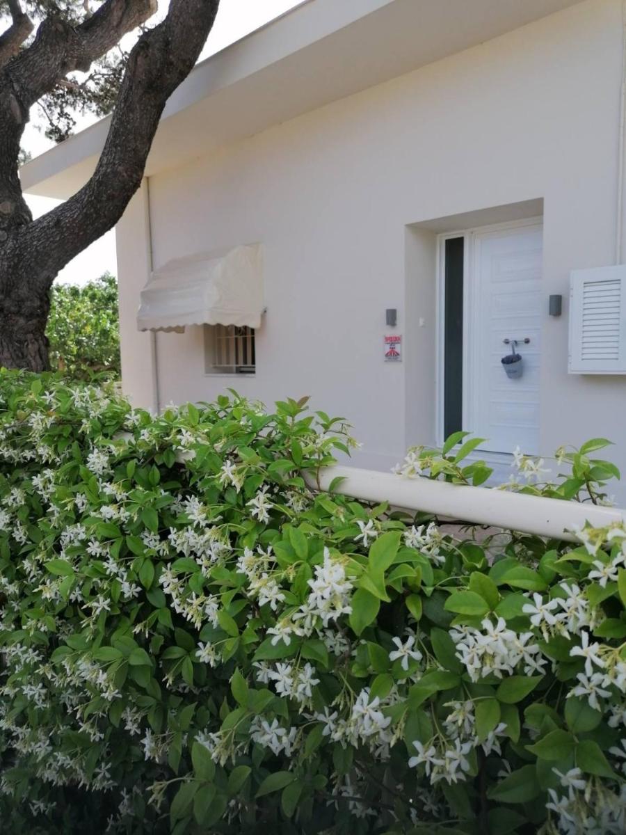 sofia s house - Housity
