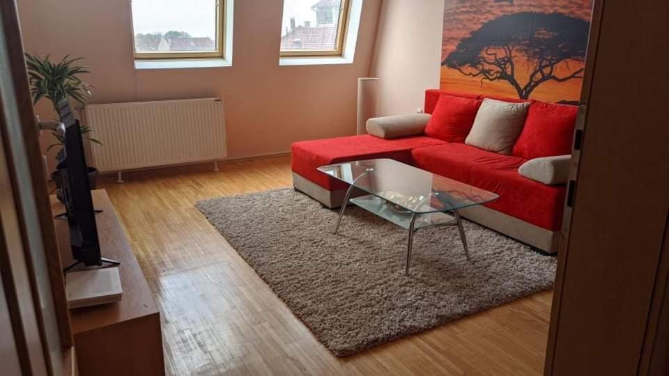 Suzy Q centar - Housity