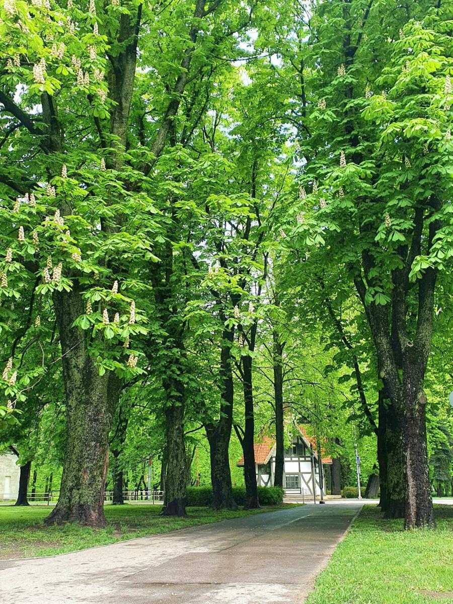 2stāvu PARKA NAMIŅŠ Viesturdārzā pērļu medniekiem! - Housity