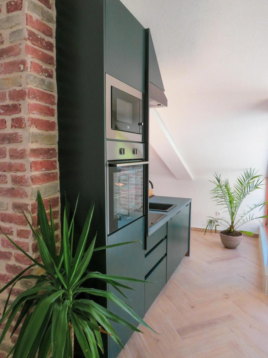 Mareta loft - Hizvo