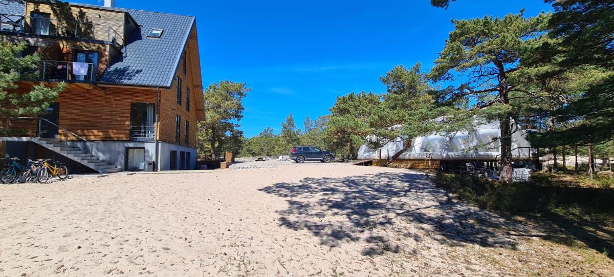 Na Wydmach. Spokój. Cisza. Las dookoła - Housity