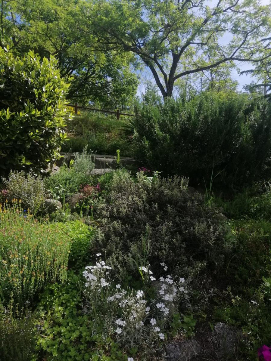 B&B Clara's Garden - Housity