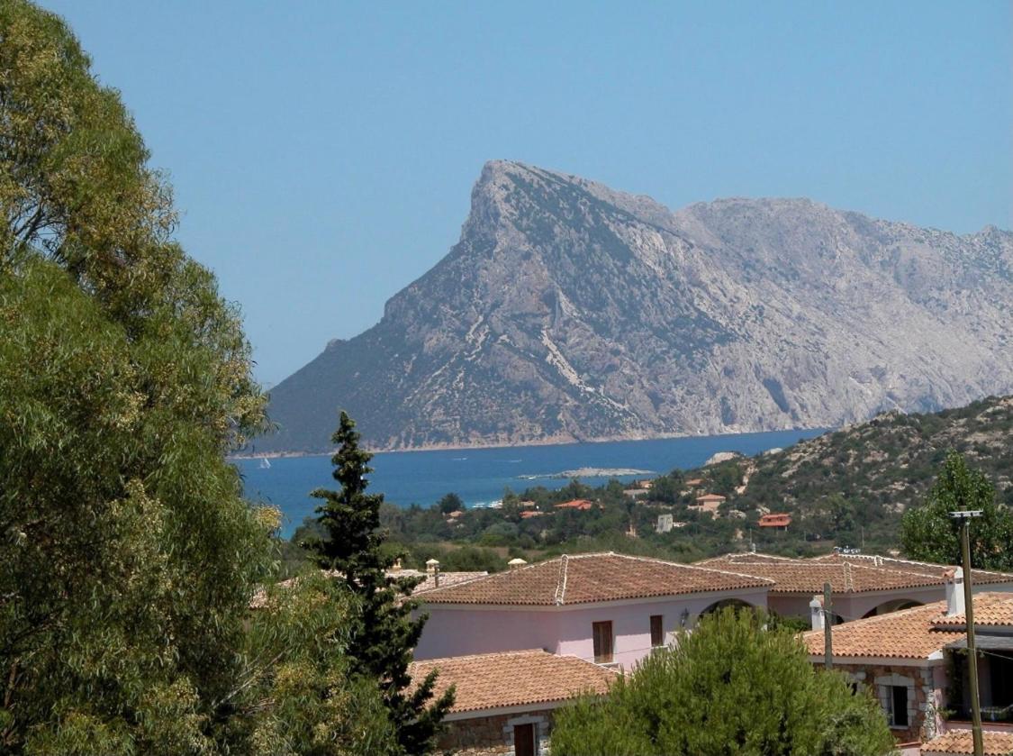 Residence Agrifoglio - Housity