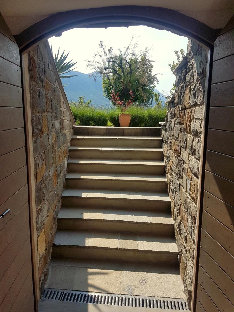 Wine cellar room - Housity