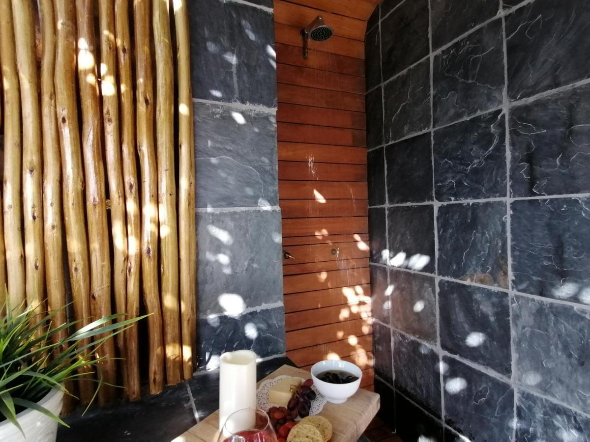 African Violet Guest Suites - Housity