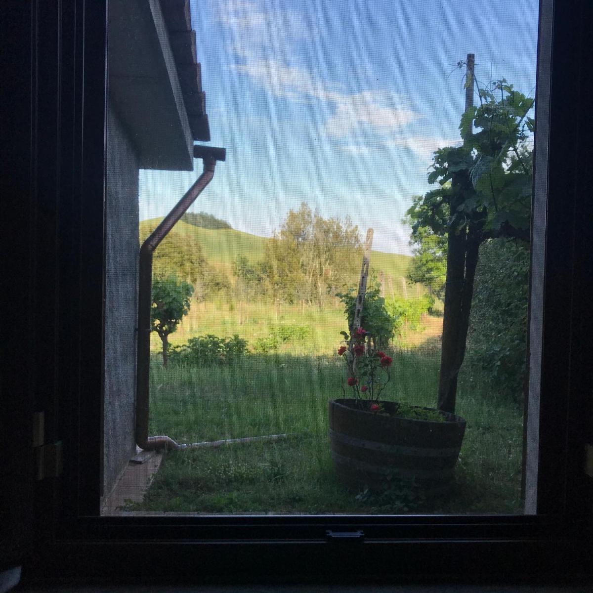 il canto del gallo - Housity