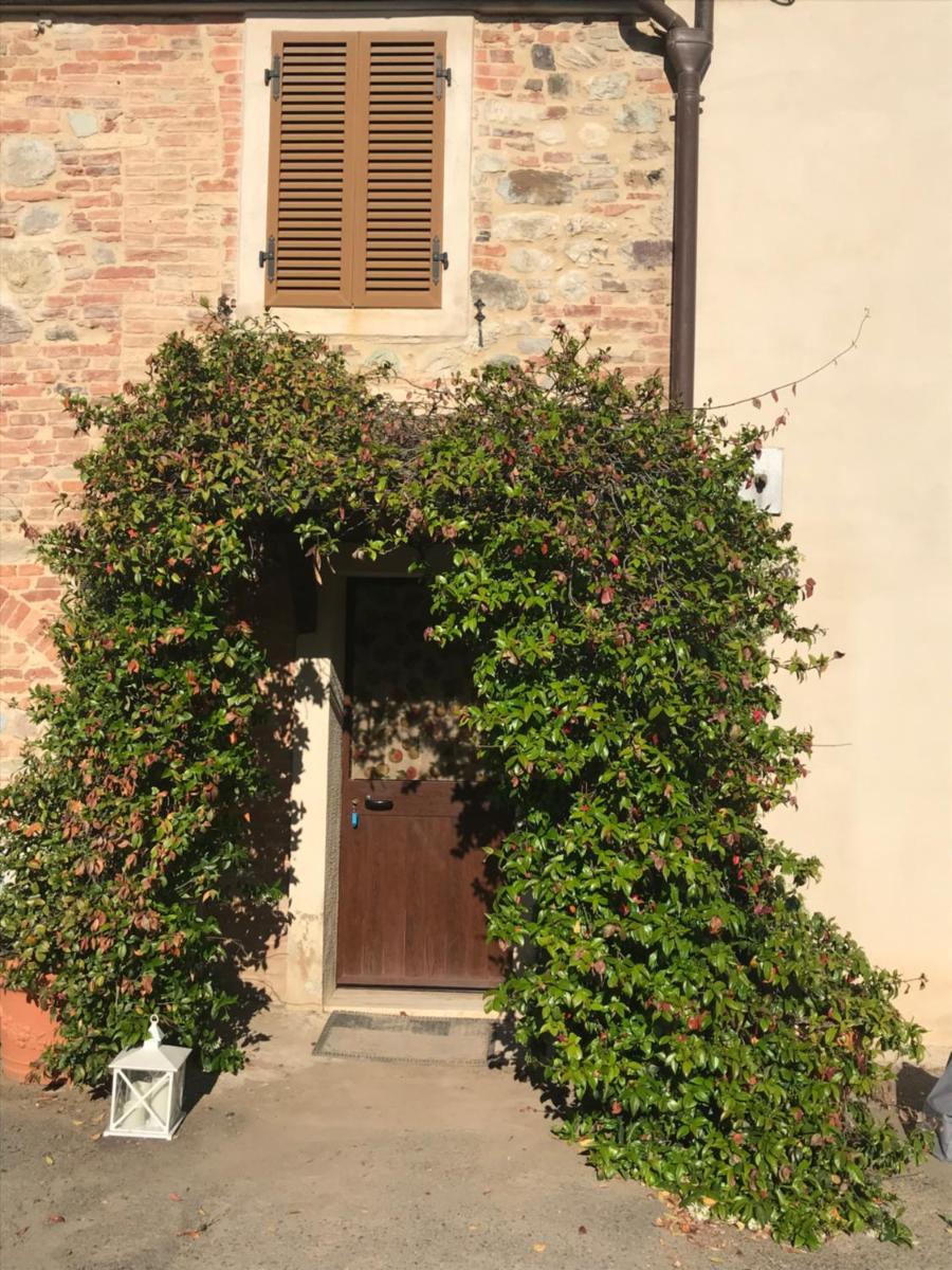 il canto del gallo - Housity