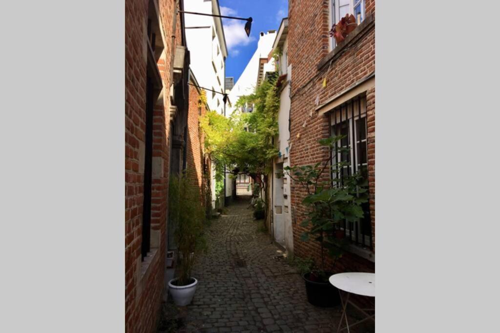 En plein cœur de Bruxelles. Superbe duplex.A voir! - Housity