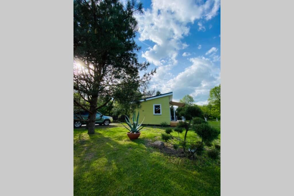 Cabin by the river Dubysa! - Housity