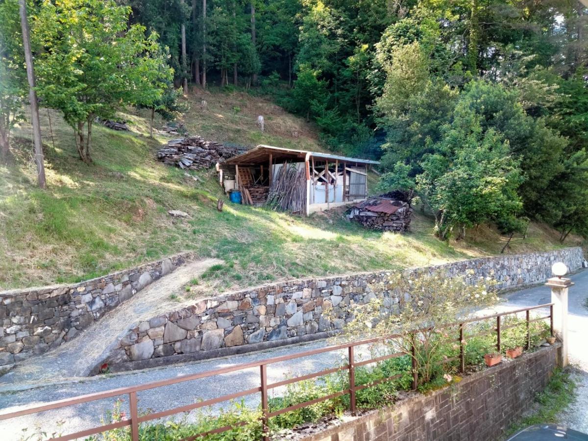 Tra Mare e Monti - Housity
