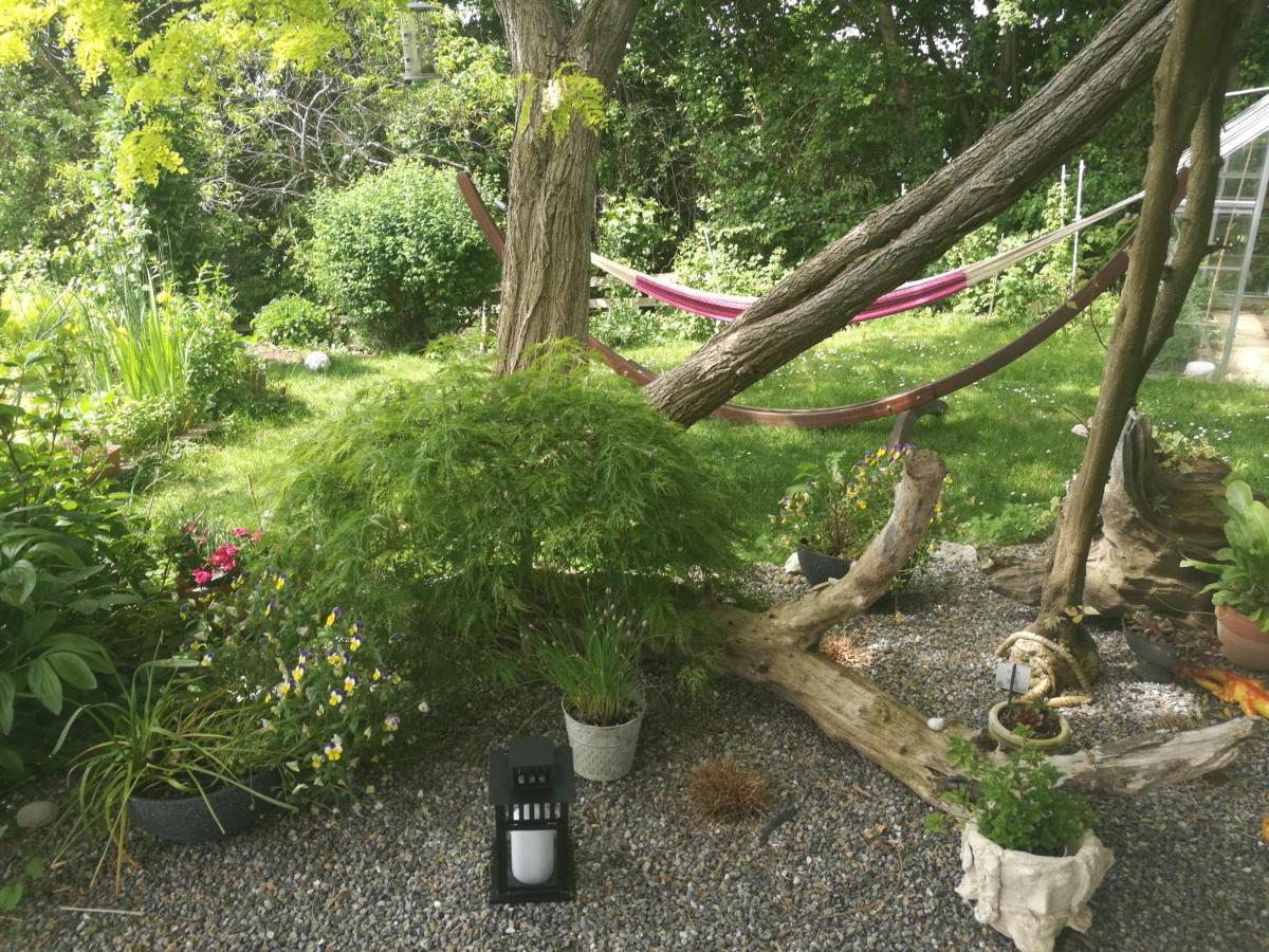 Apartment Green Elephant - Housity