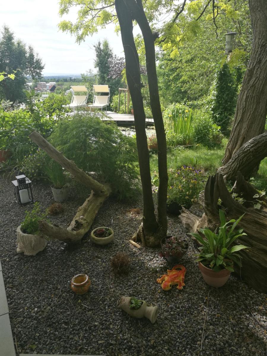 Apartment Green Elephant - Housity