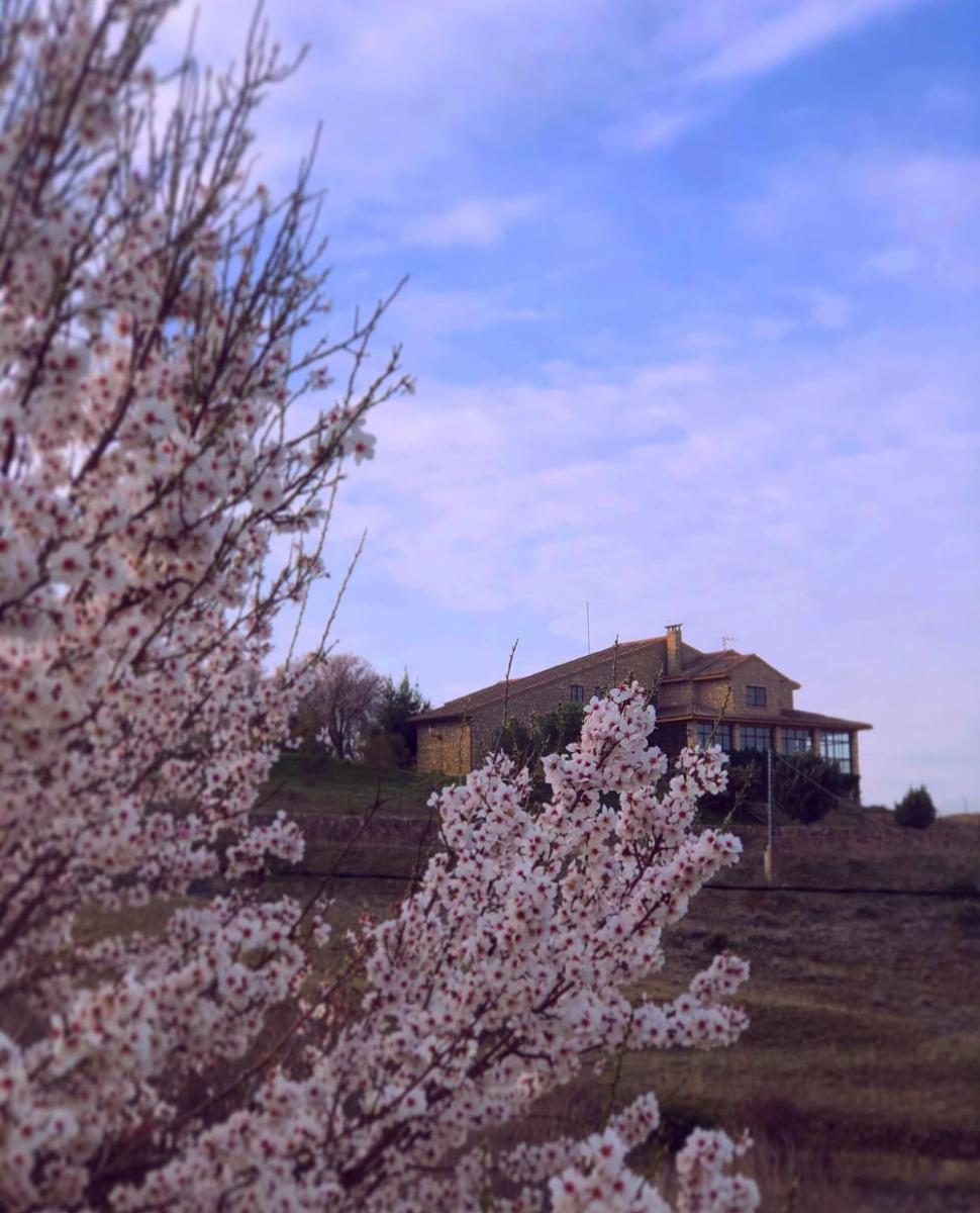 Finca Privada 6 hectareas Villa-Santa Escolástica - Housity