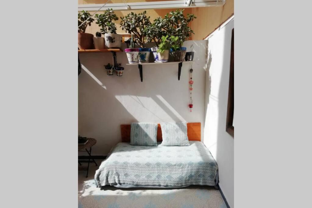 Lovely studio, terrace, swim pool, nature, relax!! - Housity
