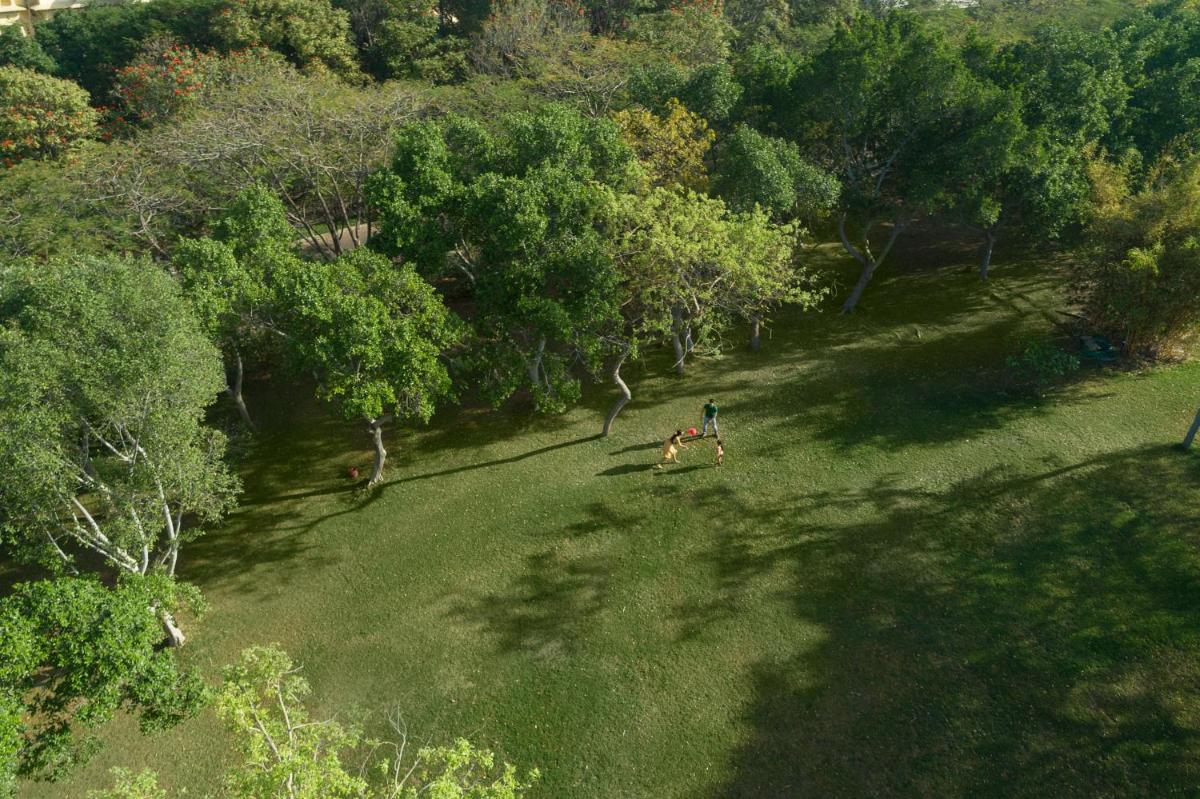 an overhead view of a person riding a horse in a field at Trident Udaipur in Udaipur