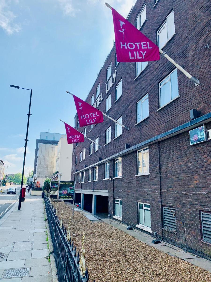Hotel Lily - Housity