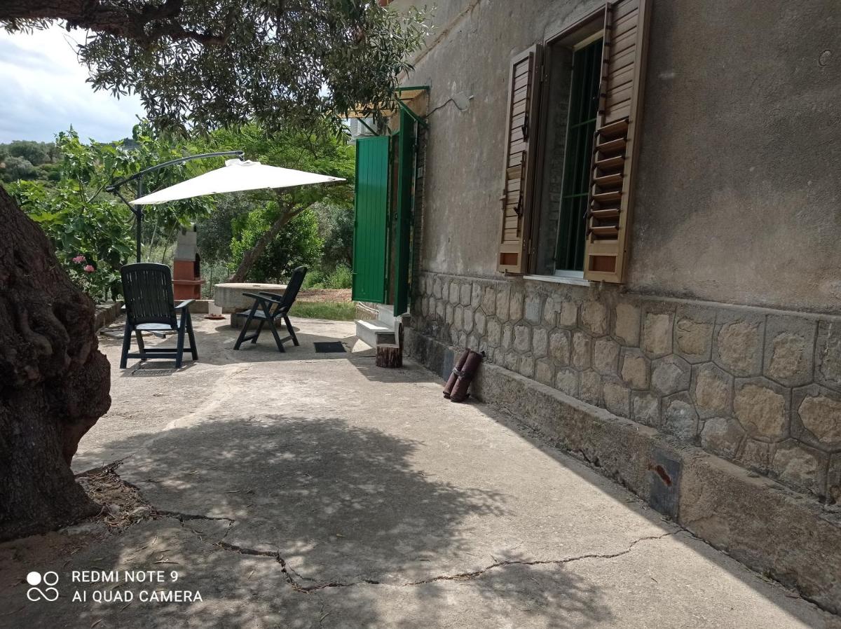 La casetta tra gli ulivi - Housity