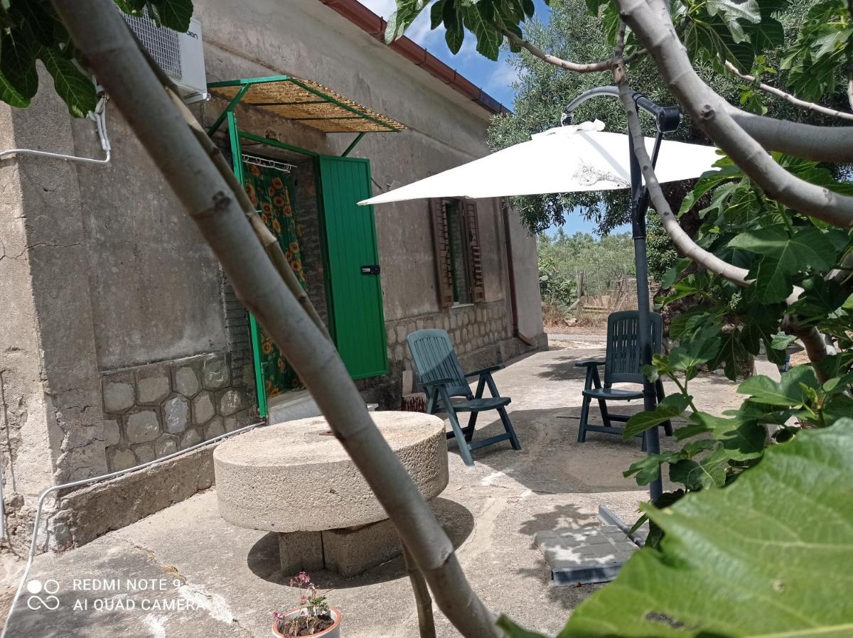 La casetta tra gli ulivi - Housity