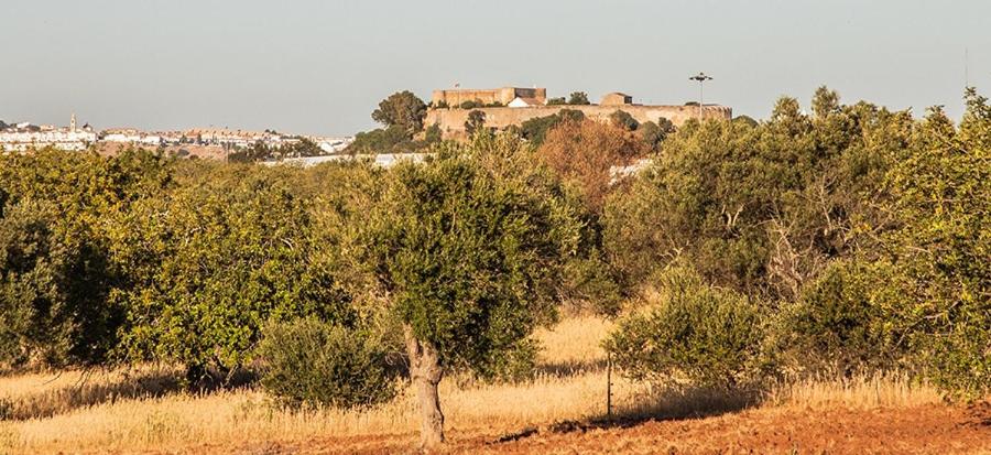 Casa Natura - Housity