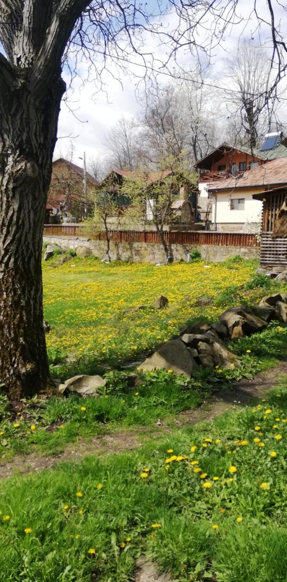 Pensiune Piatra Mare - Housity