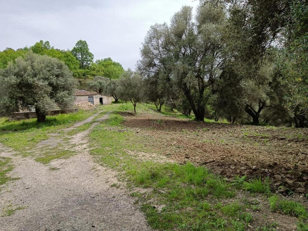 B&B Le Casette - Housity