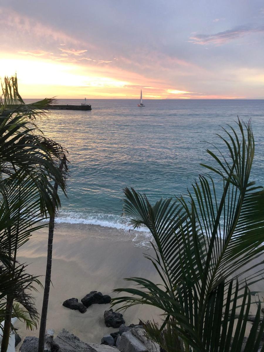 Studio Pieds dans l’eau - Housity