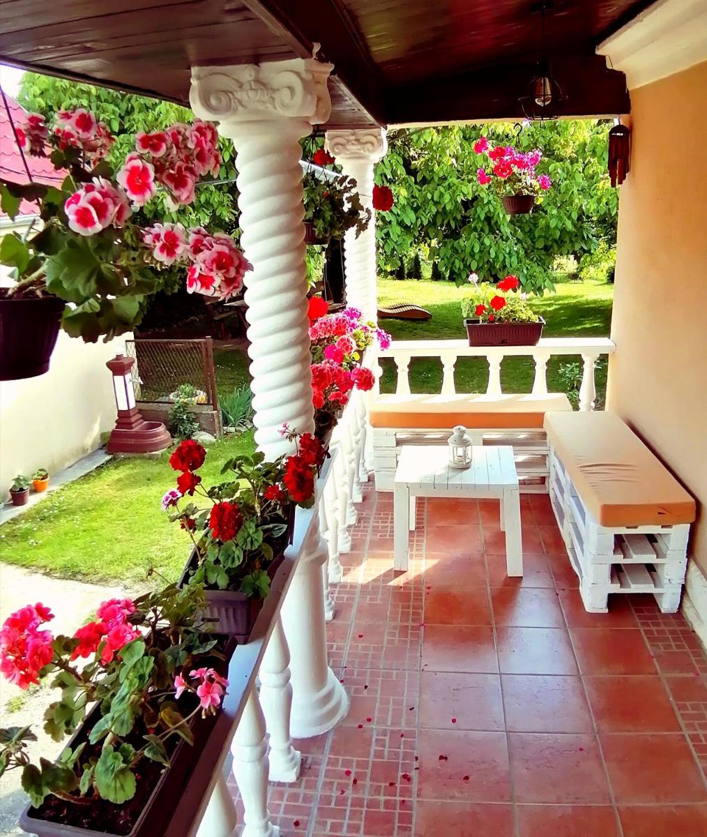 Vrdnik apartmani Sara - Housity