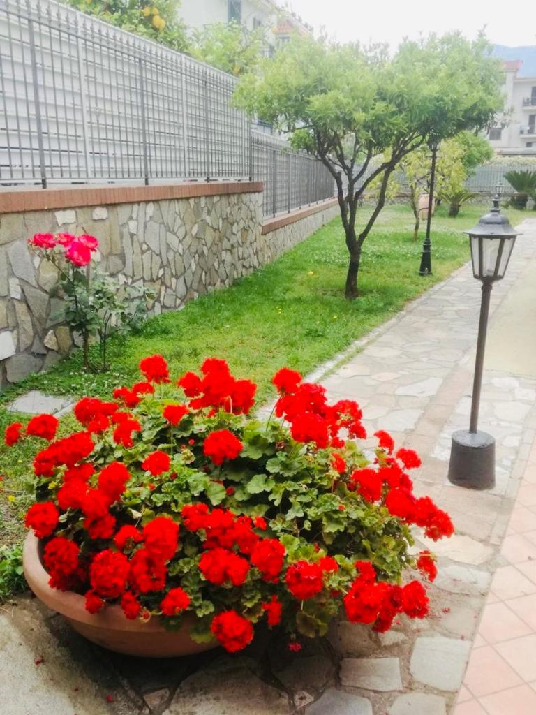 B&B Alba - Housity