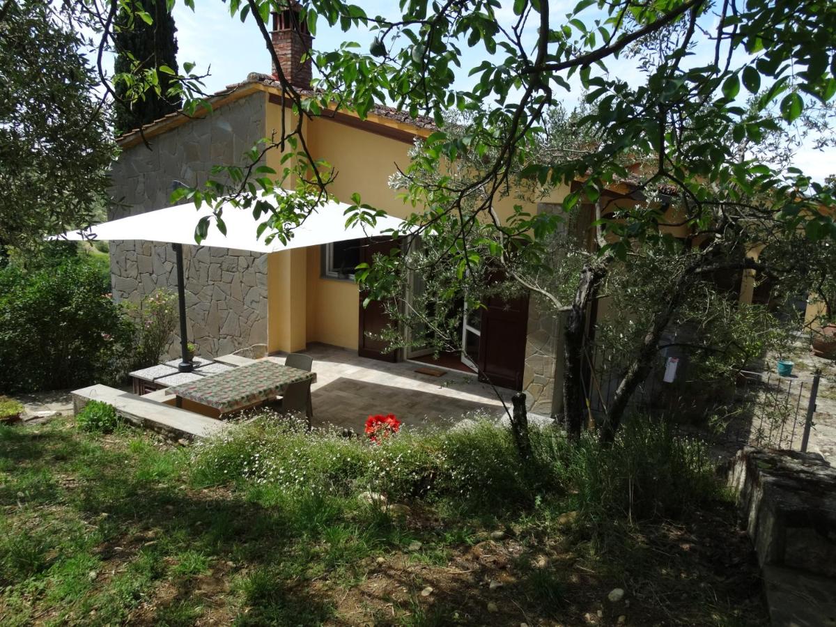Poggio House, tranquillità e comfort nella natura - Housity