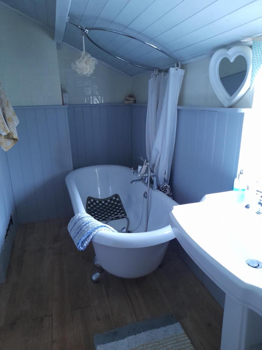 Sunshine B and B South View Cottage - Housity