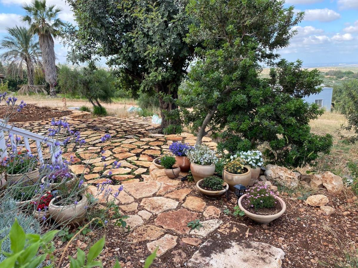 Gorgeous peaceful 2 bedroom villa with sea-view - Housity