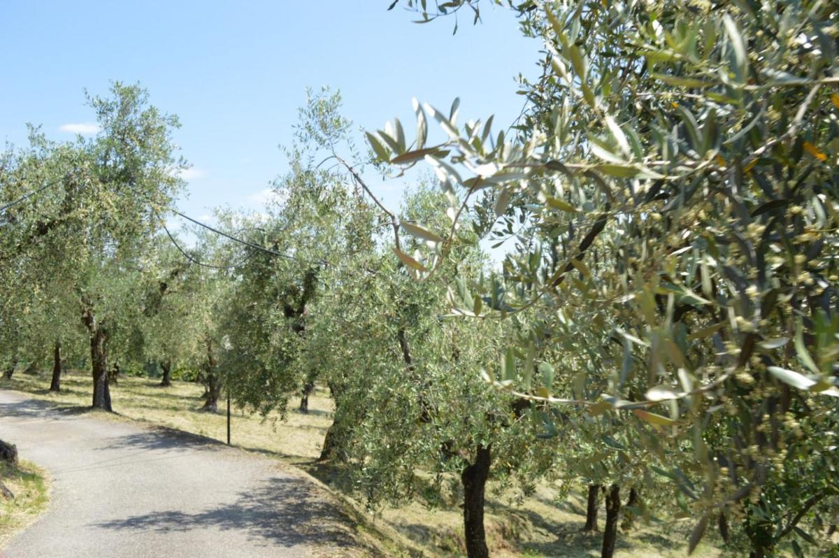 Il Podere di Tacito - Housity