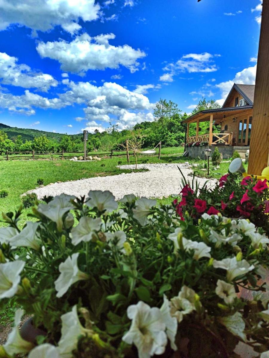 Brvnare Ljubojević - Housity