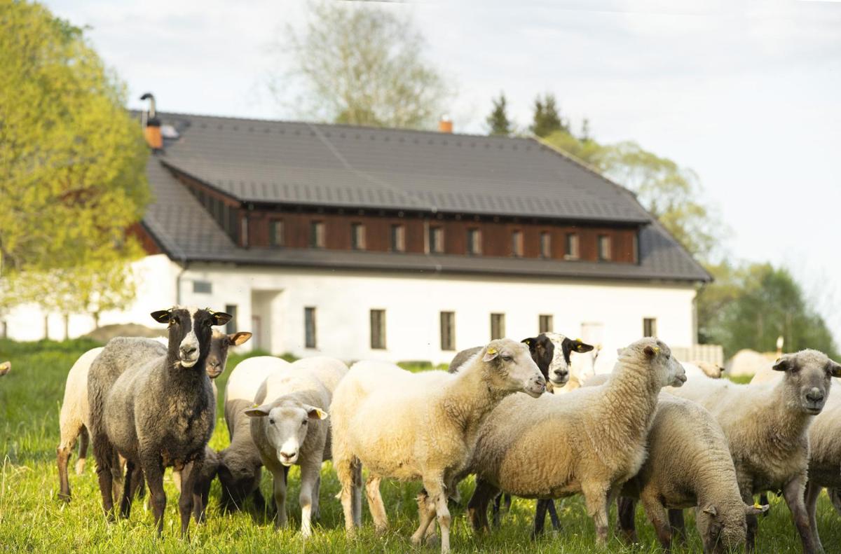 Dvůr Lískový vrch - Housity