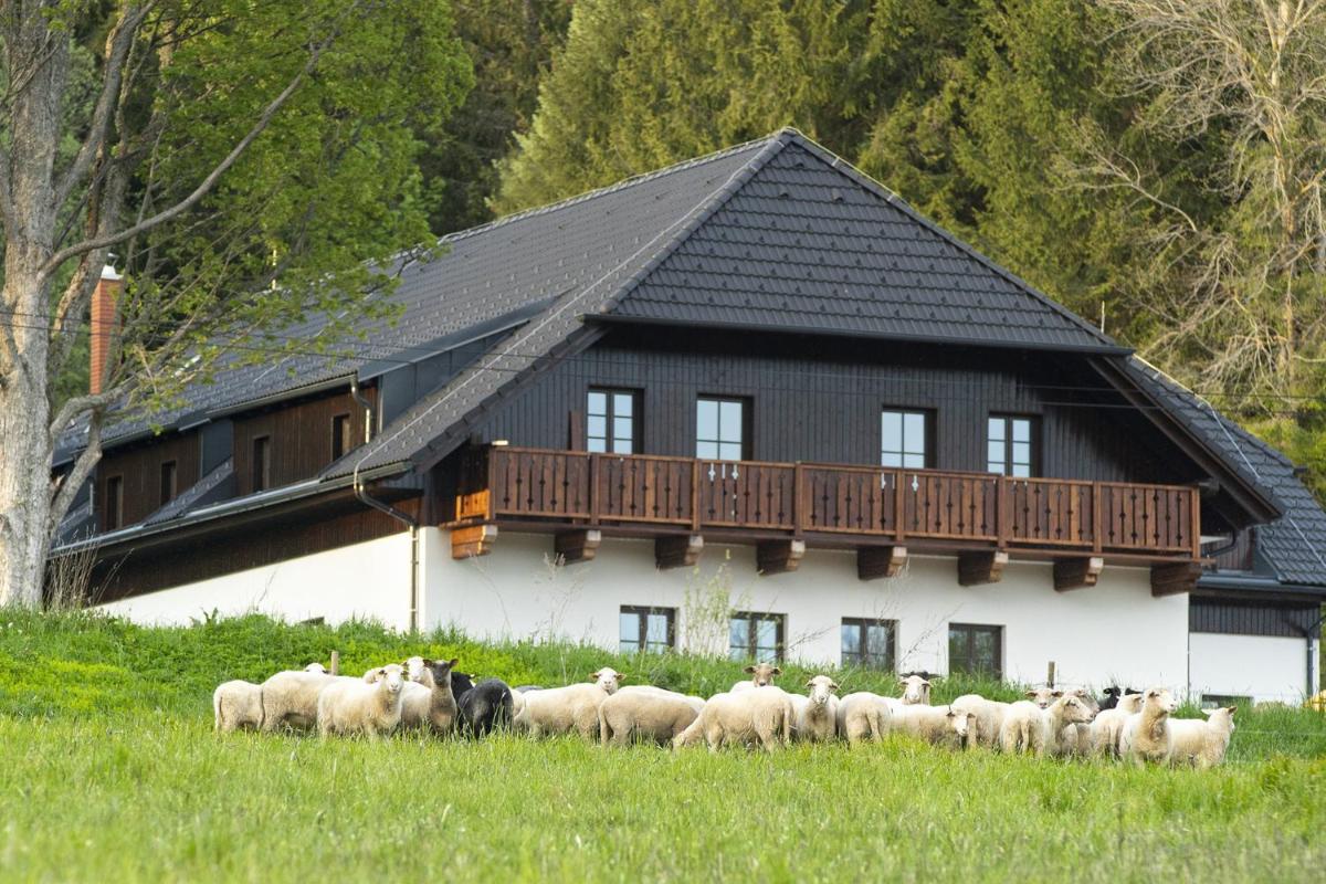 Dvůr Lískový vrch - Housity