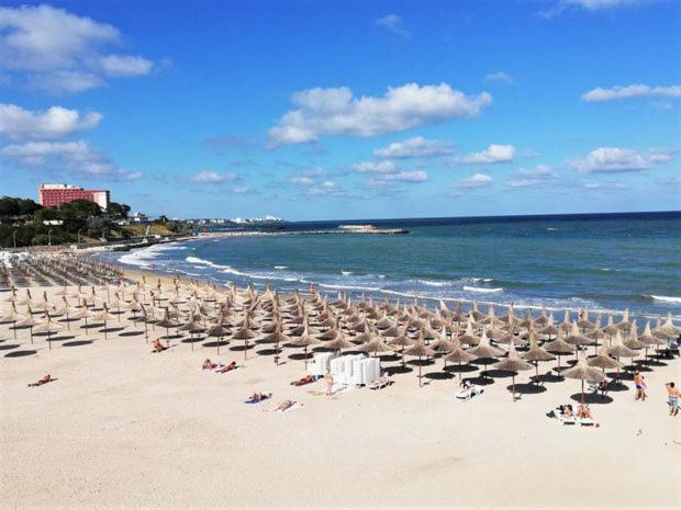 Studio Callatis Central - adults only - Housity