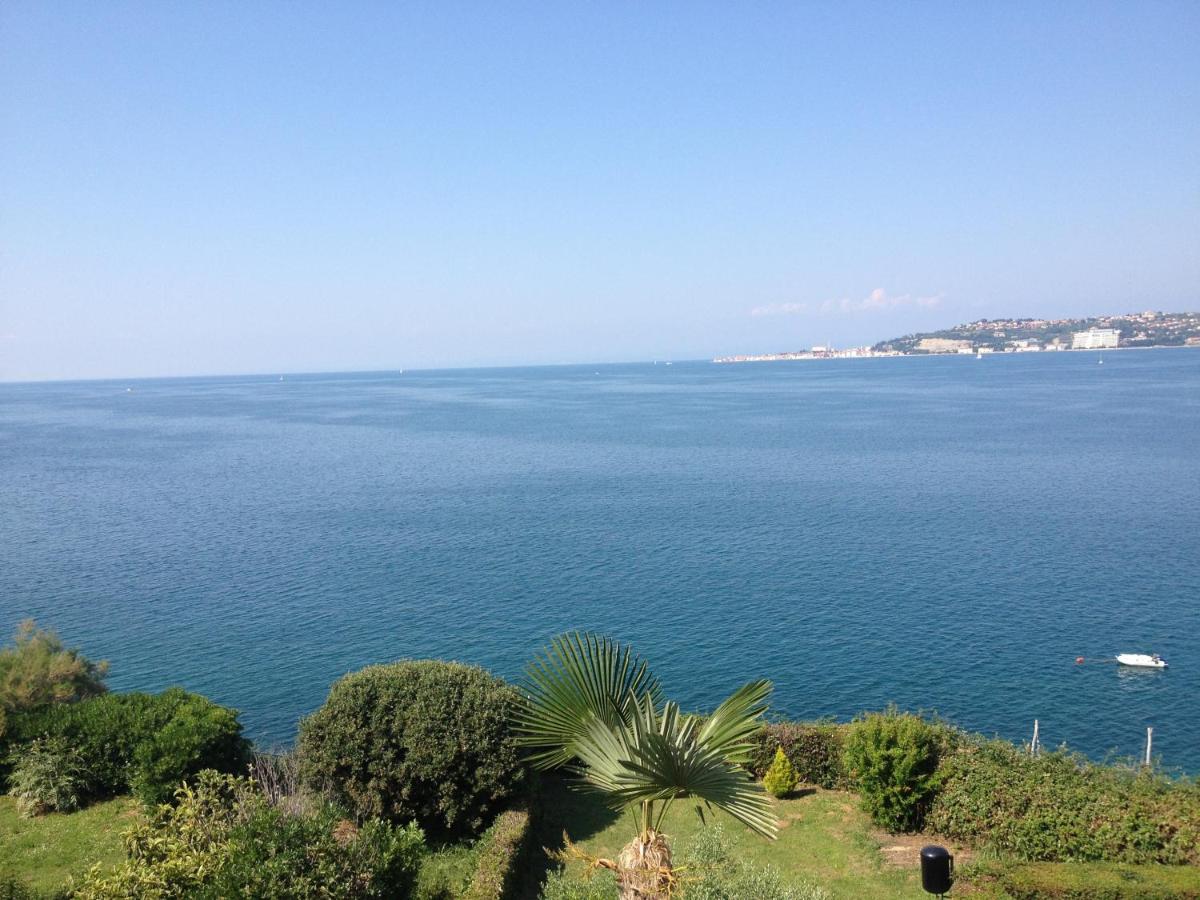 Guest House Laura - Housity