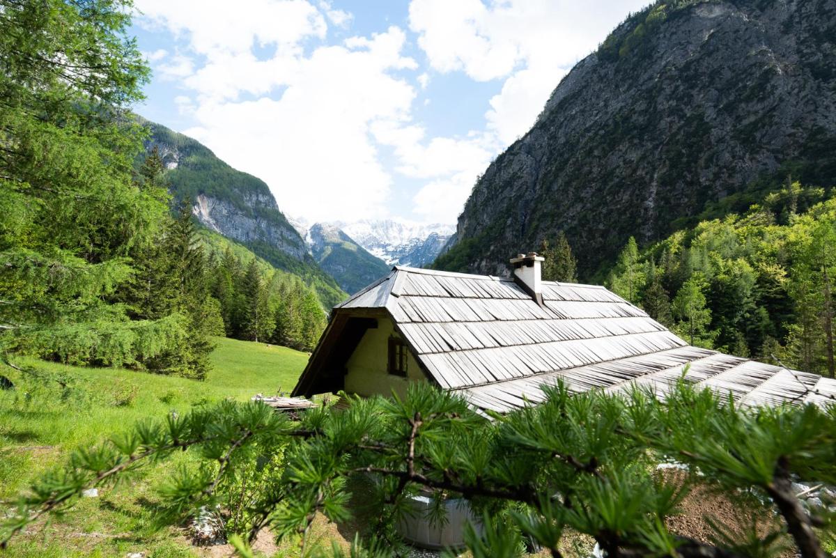 Wild flower cottage in Trenta - Housity